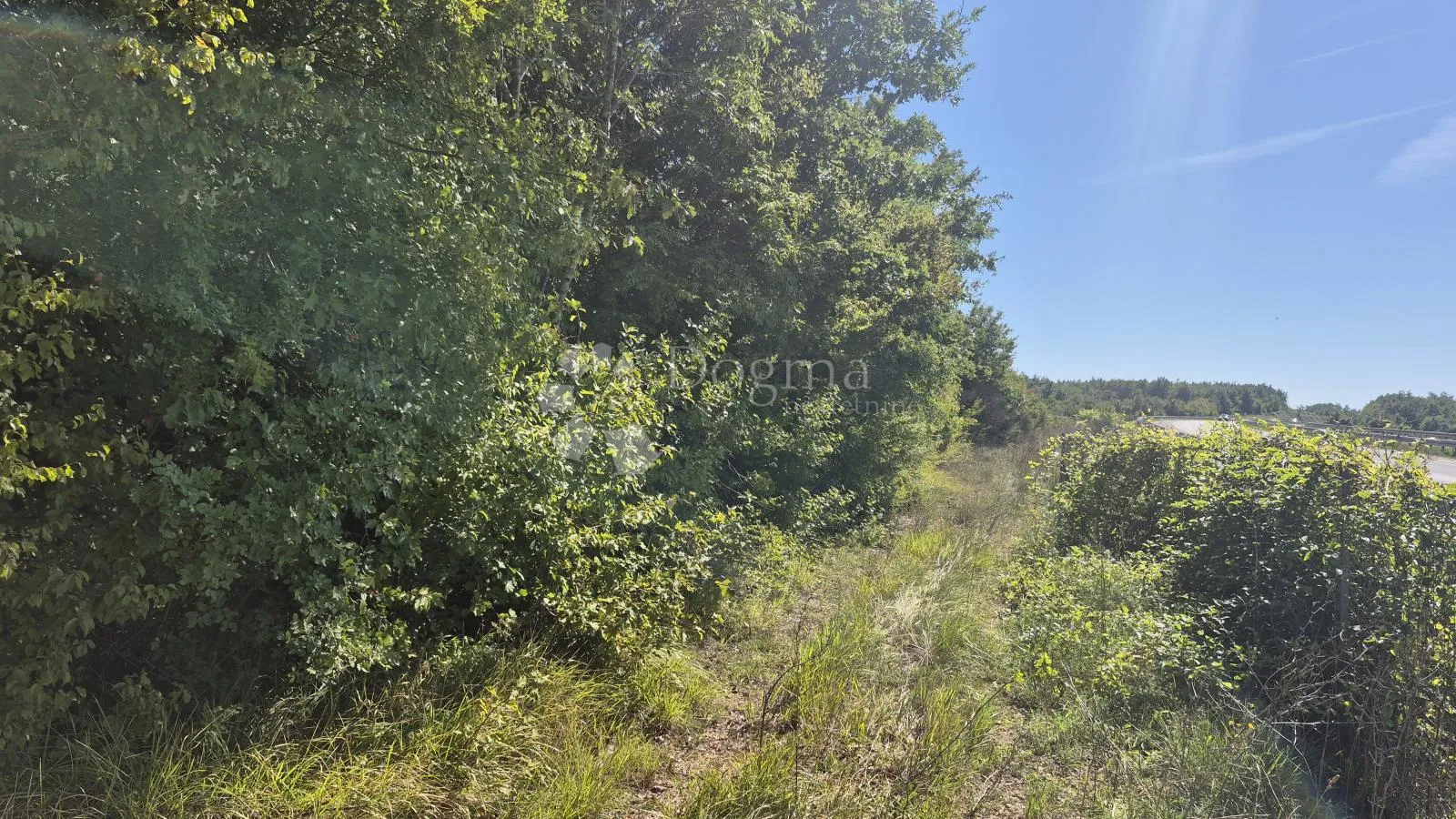 šumsko zemljište neposredno uz istarski ipsilon 7505 m2 - slika 8