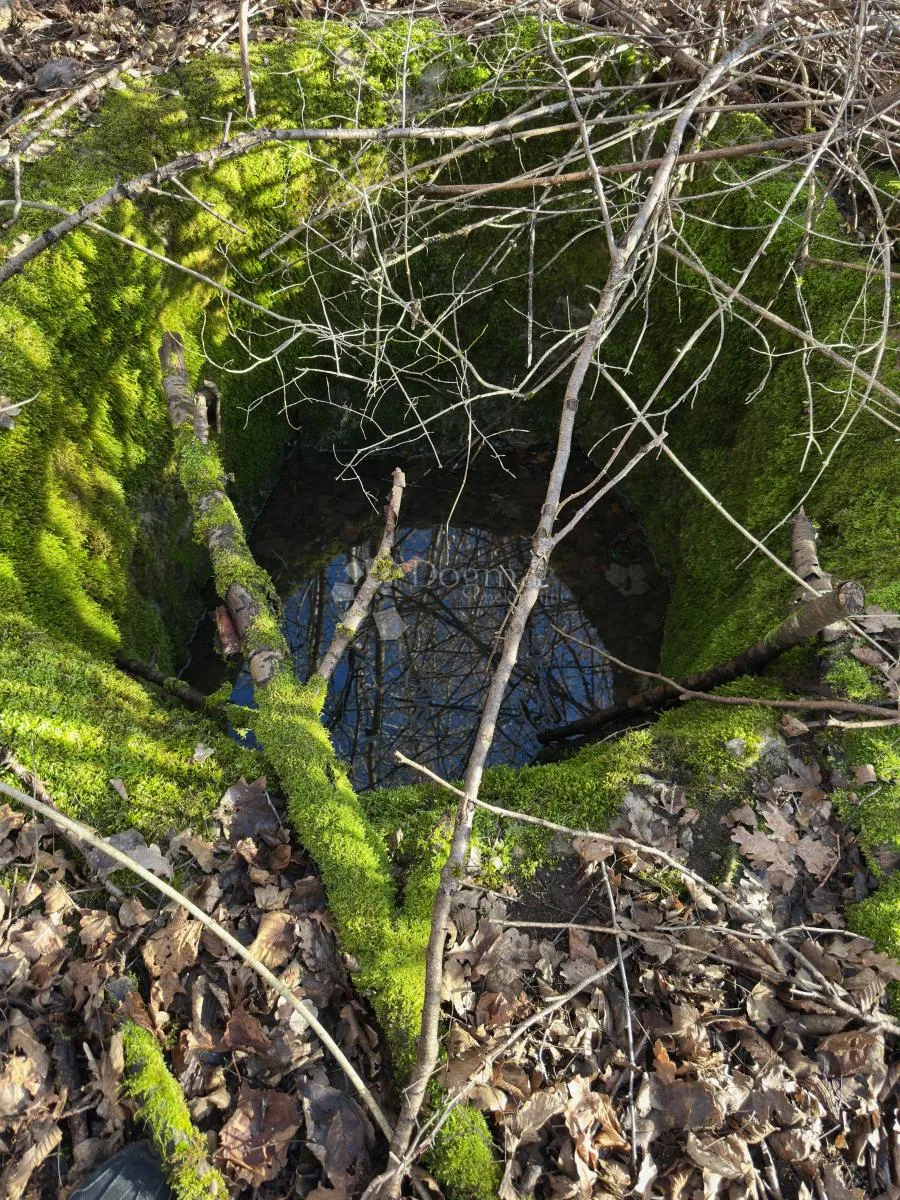 barlete imanje okolica gospića - slika 10