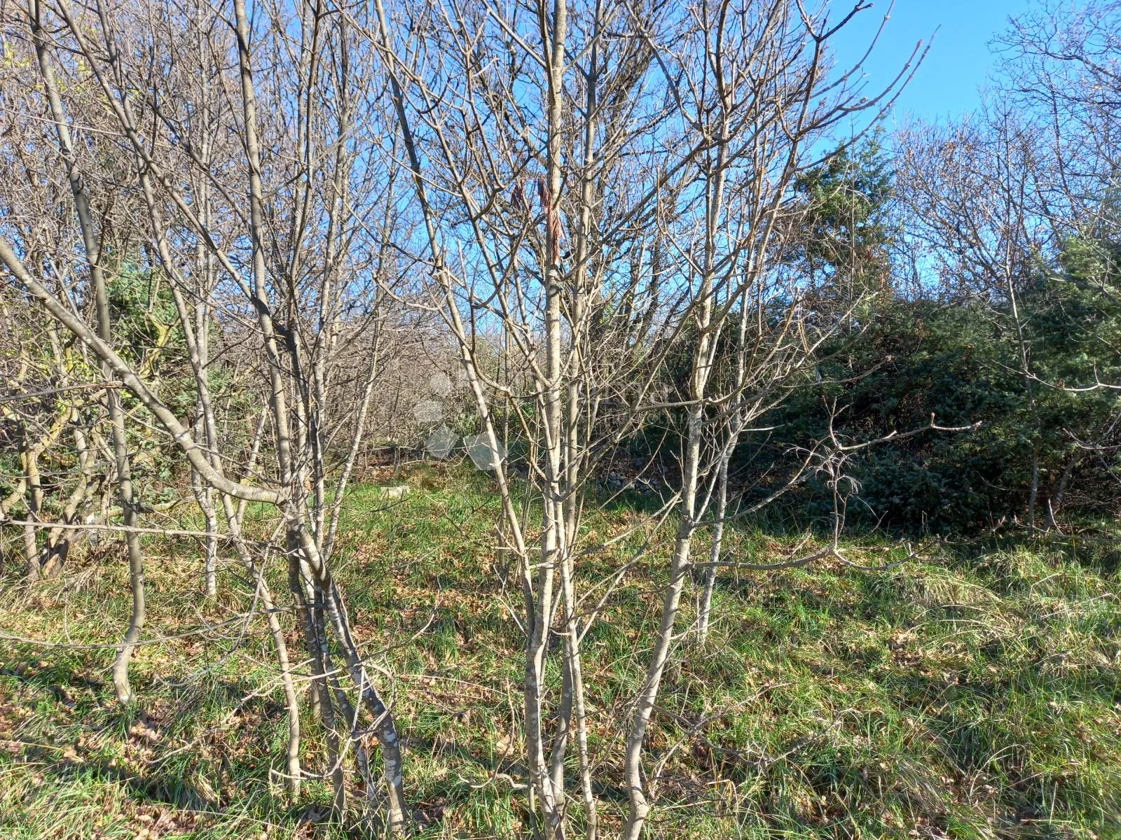 kostrena, teren s pogledom na more - slika 9