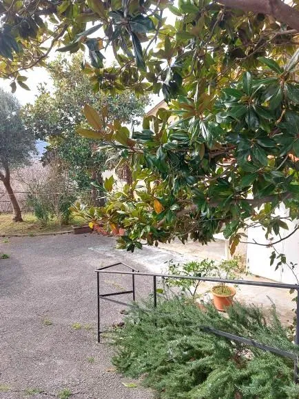 bribir, jedinstvena prilika! - slika 18