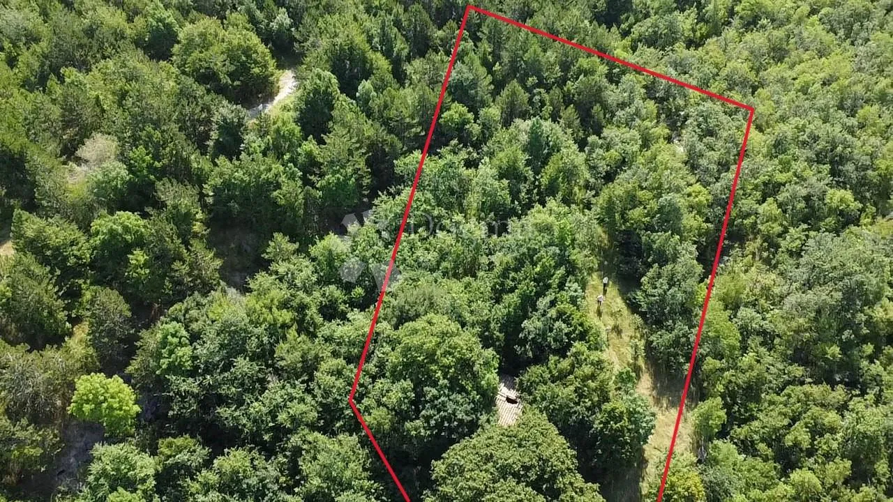 starina sa potencijalom za odličan prihod - slika 18