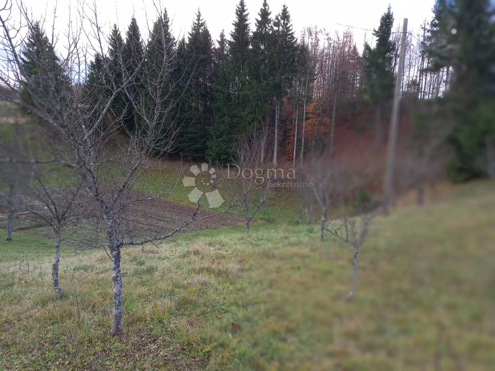 gorski kotar, stari laz, građevinsko zemljište - slika 4