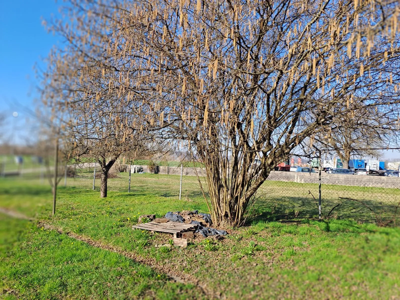 velika kuća na odličnoj lokaciji - slika 2