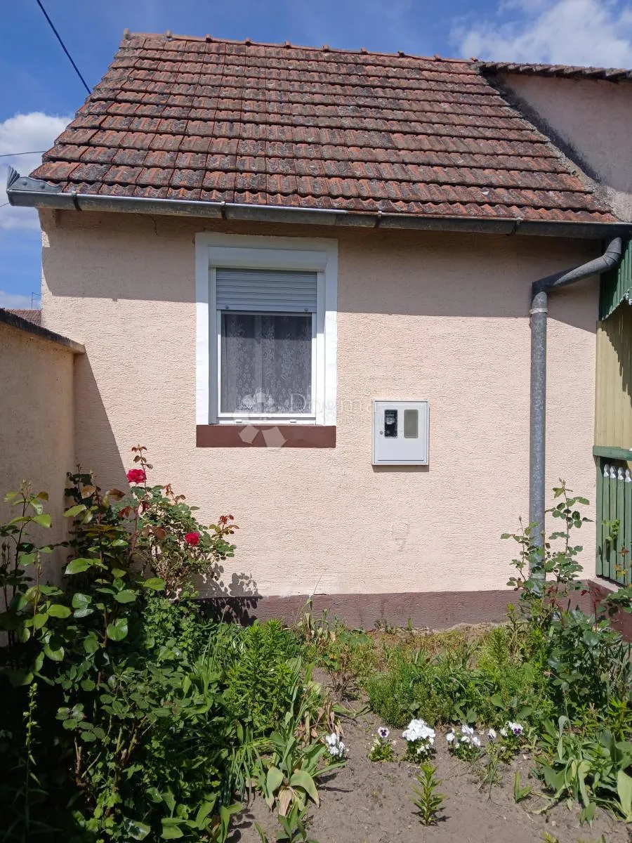 tradicionalna kuća s velikom okućnicom u đurđevcu - slika 8