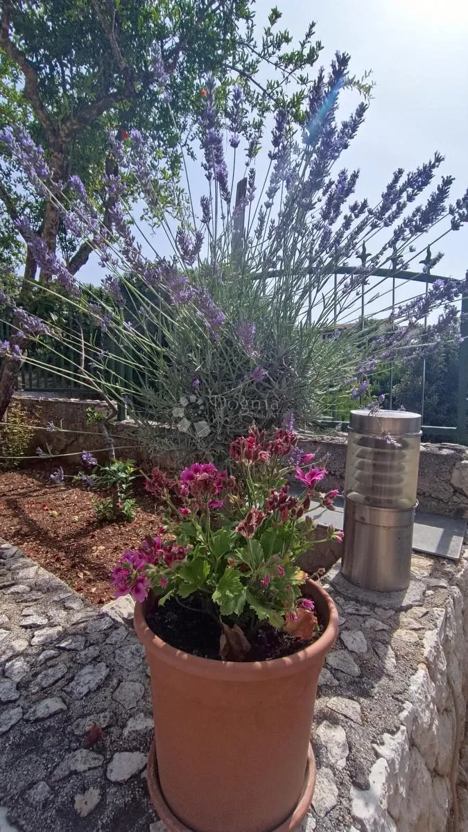 kuća s 4 apartmana - marina - slika 24