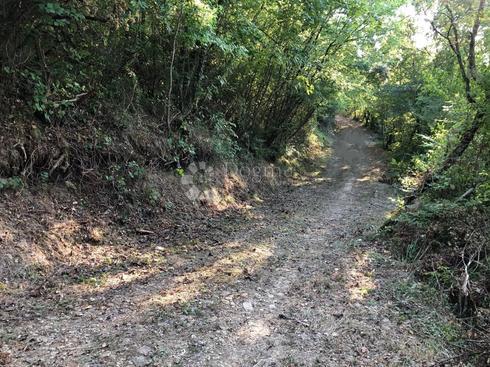 motovun - prekrasno imanje s panoramskim pogledom - slika 21