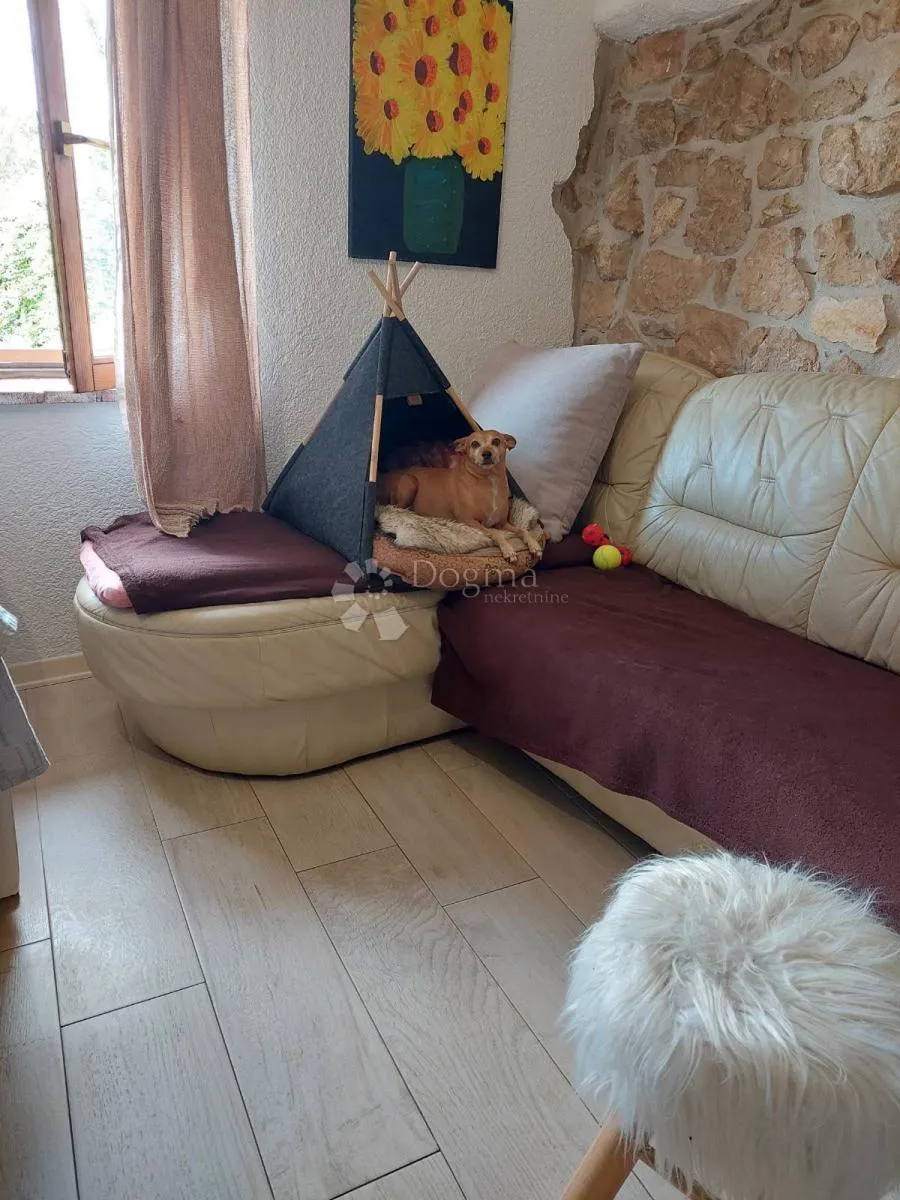 poreč (okolica) - obiteljska kuća na mirnoj lokaciji - slika 11