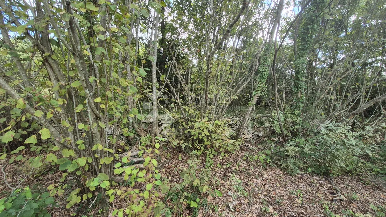 poljoprivredno zemljište sa kažunom površine 3550 m2 - slika 21