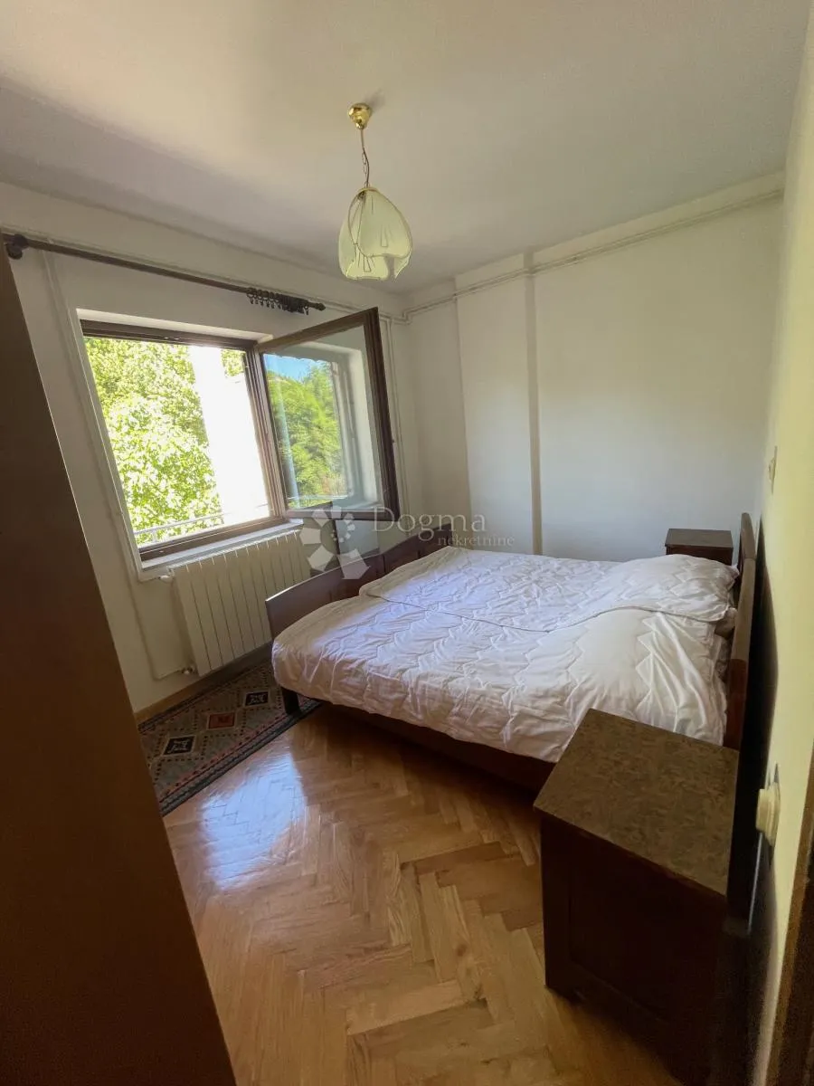 komadić raja koji traži pažnju - slika 17