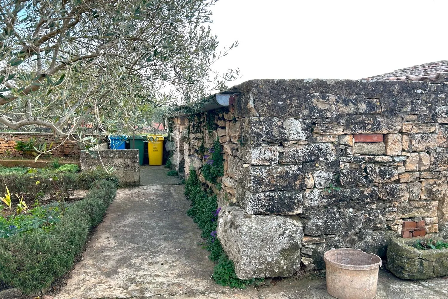 vodnjan – kamena kuća s pomoćnom zgradom, velika parcela, maslinik - slika 31