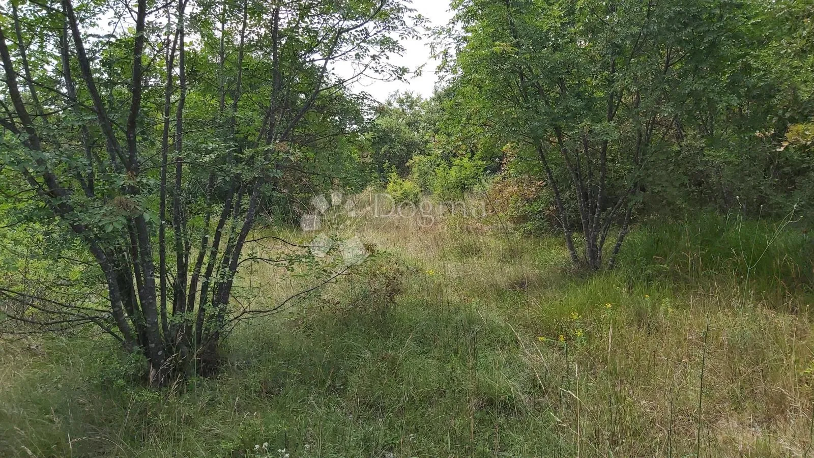prostrano zemljište pravilnog oblika na kraju sela - slika 2