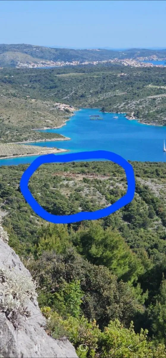 primošten, maslinik s pogledom na more - slika 1