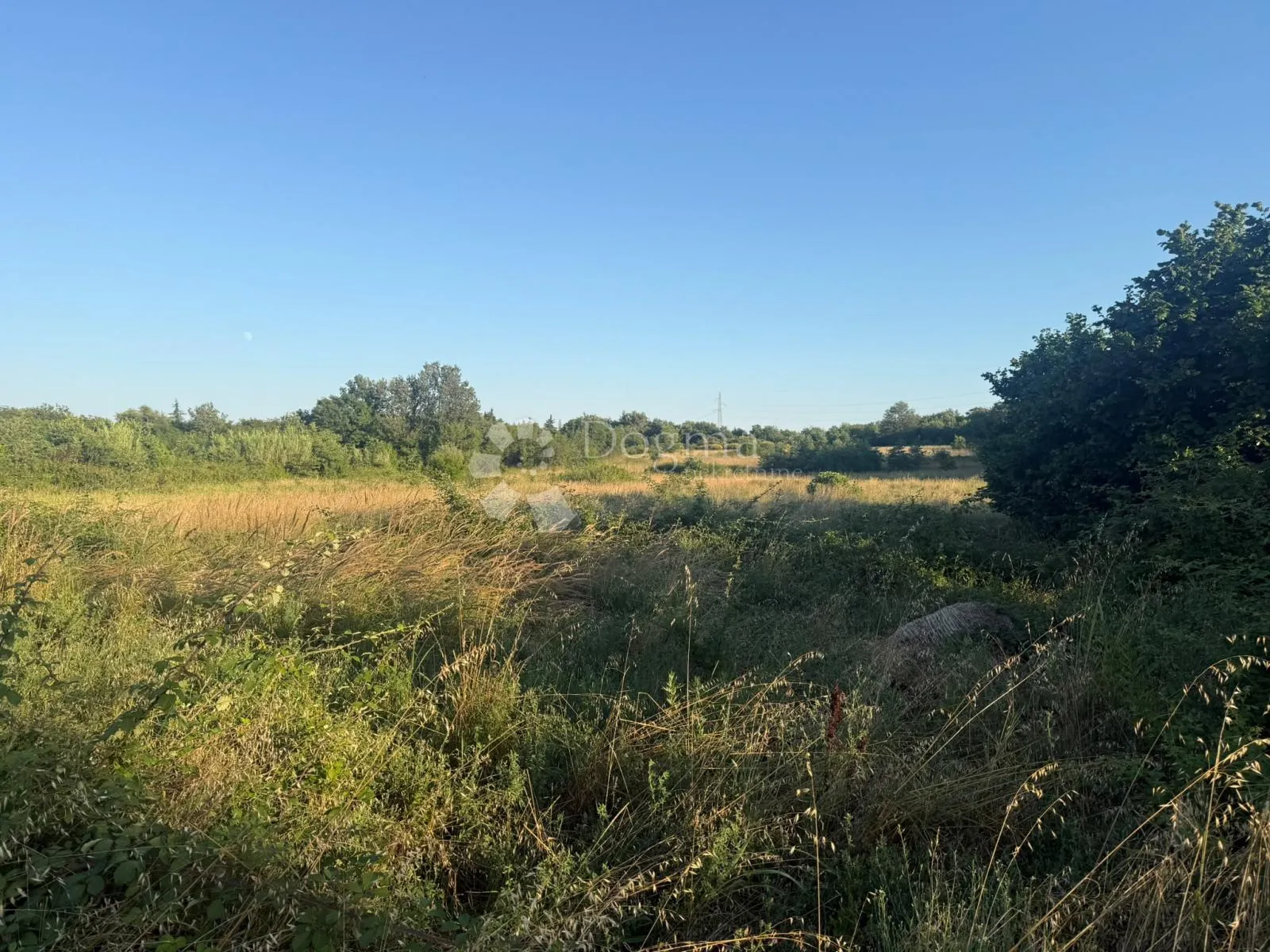 Poljoprivredno zemljište Murine - Murine, Umag