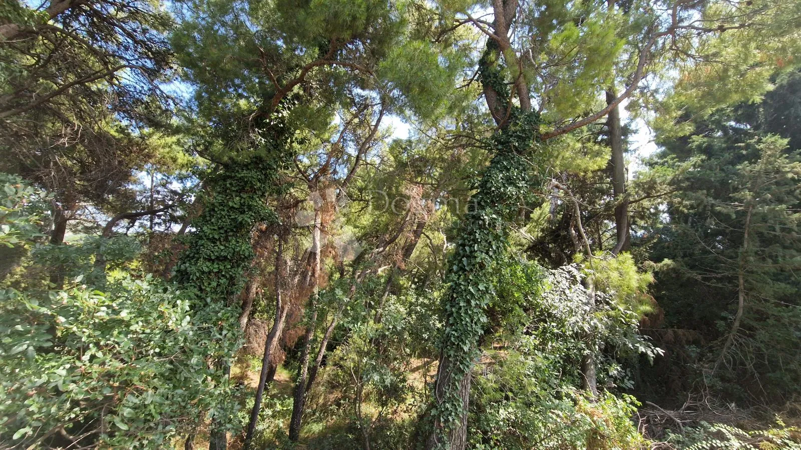 građevinsko zemljište, klis, pogled na split i more - slika 4