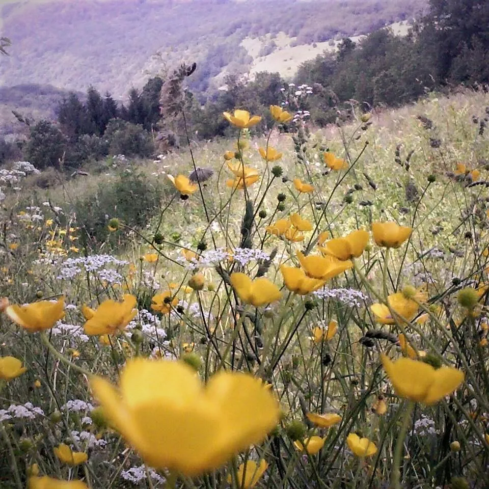 Top Ponuda - Gospić