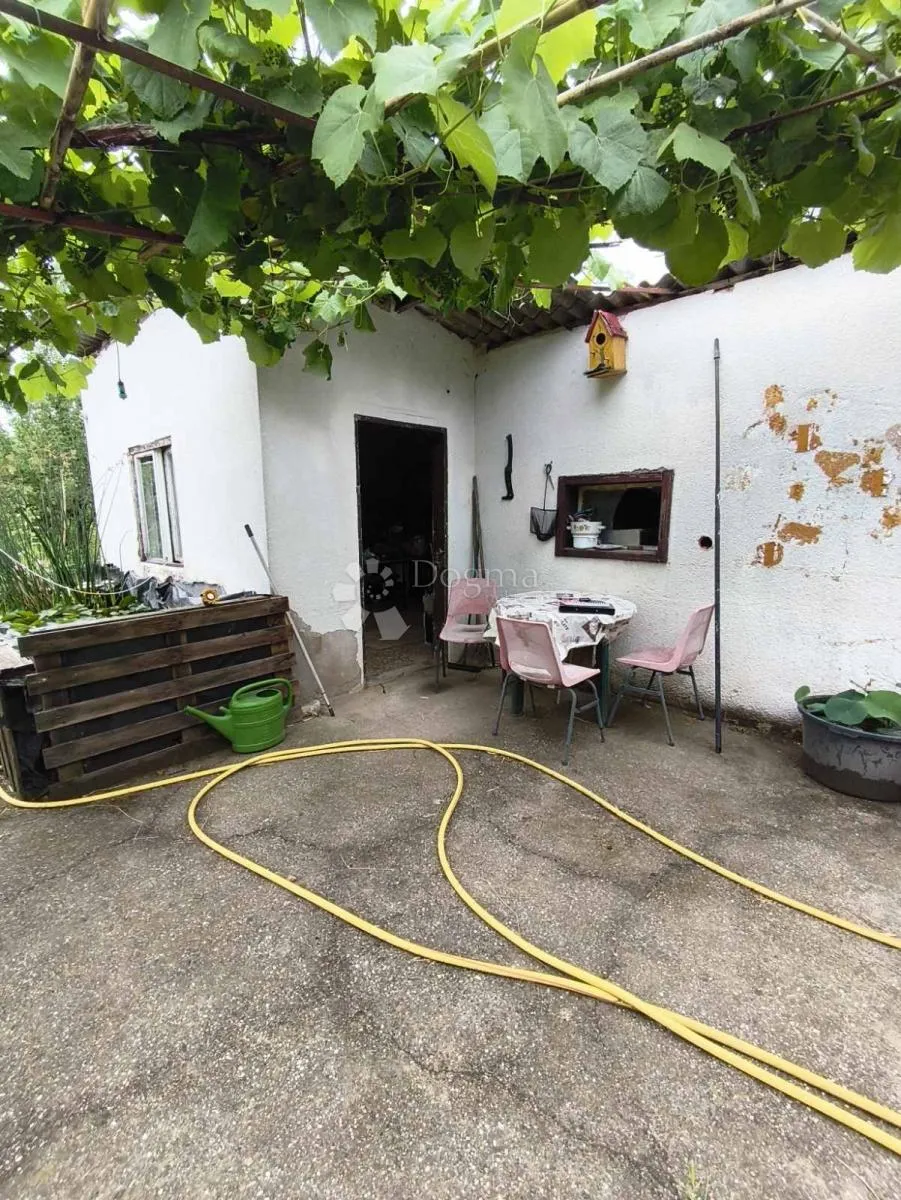 obiteljska oaza u bilju s ribnjakom i garažom - slika 11
