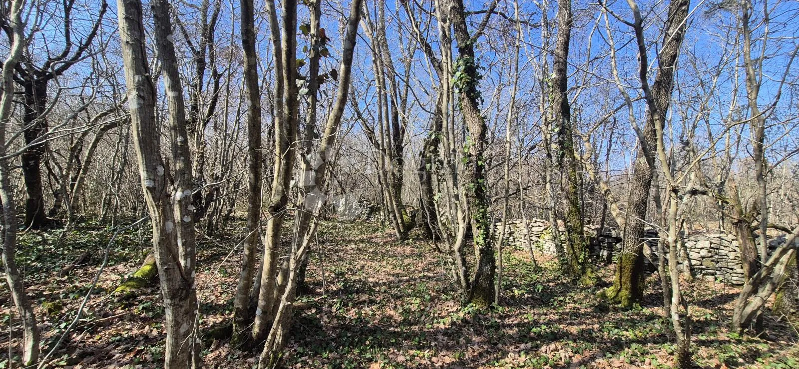 poljoprivredno zemljište površine 23953 m2 sa ogromnim potencijalom - slika 7