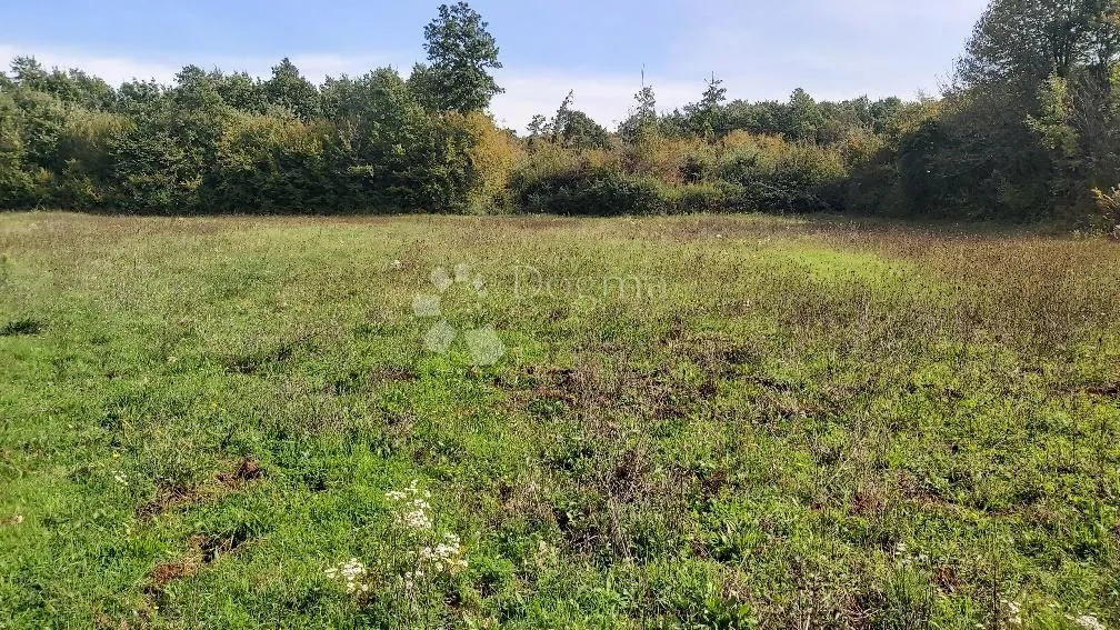 poljoprivredno zemljište u blizini sela - slika 2