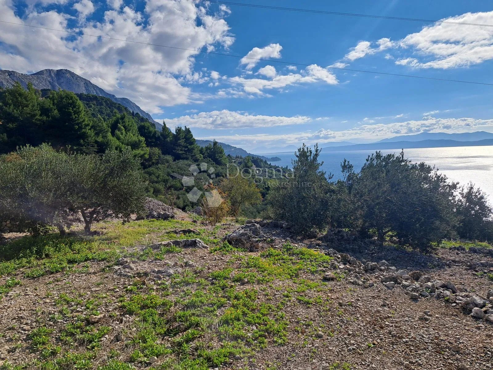 uređeni maslinik s predivnim pogledom – 896 m², podgora - slika 5