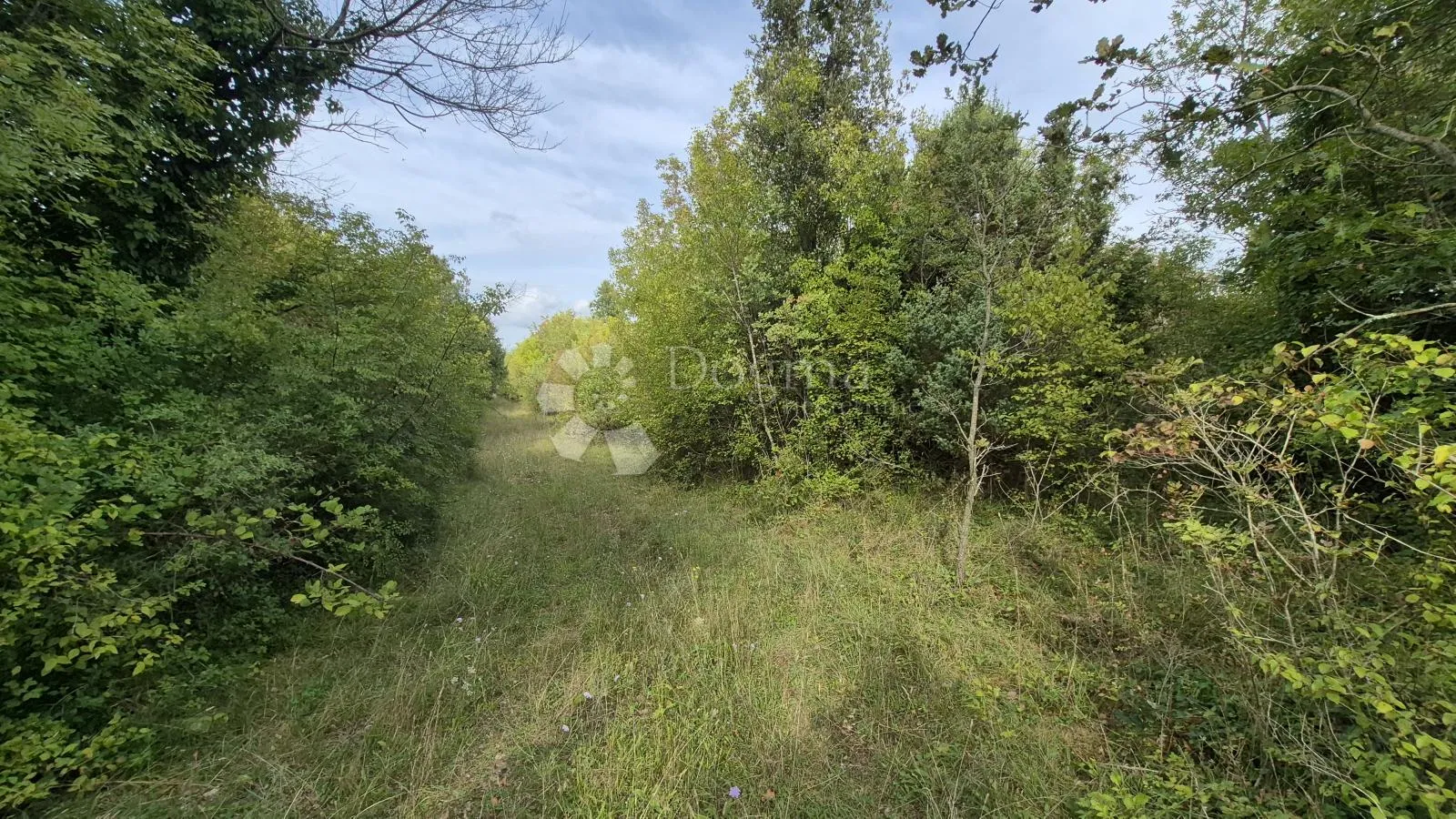 poljoprivredno zemljište 11.980 m2, 600 m od mora - slika 5