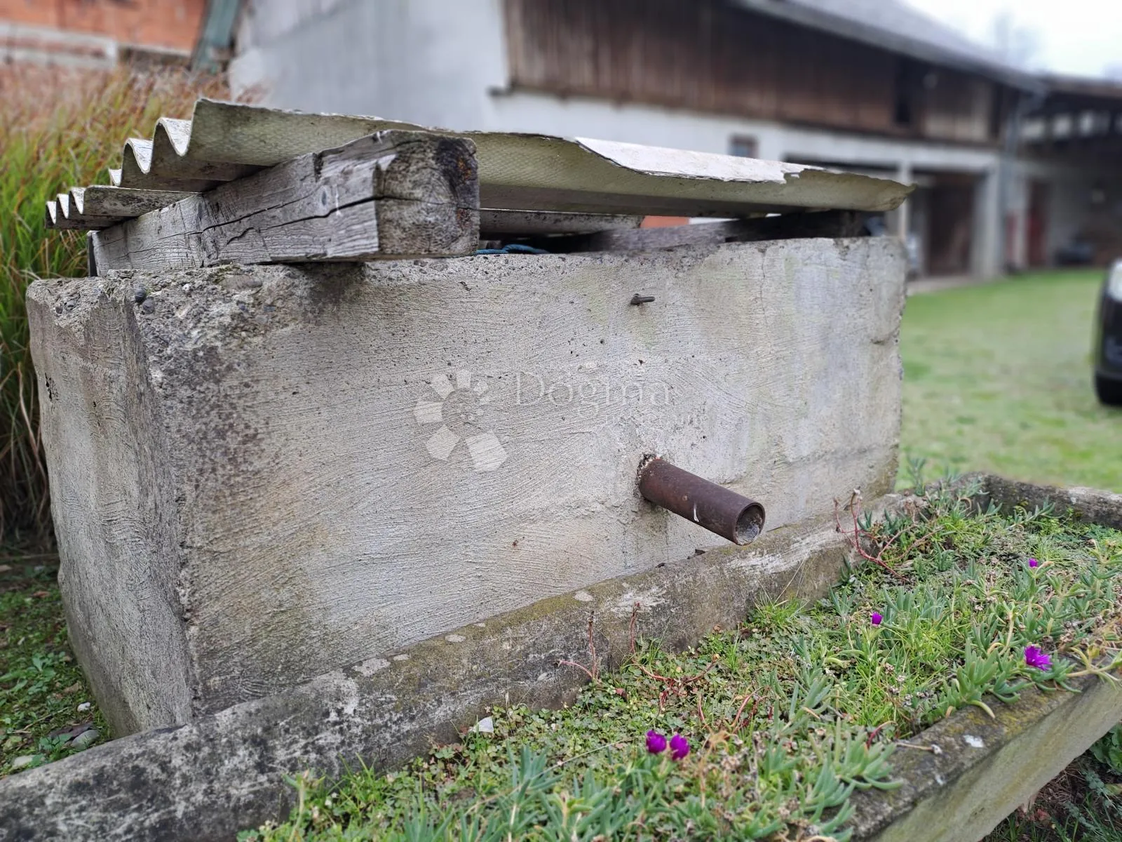 uživancija za konjiće, kravice ili ljude - slika 19
