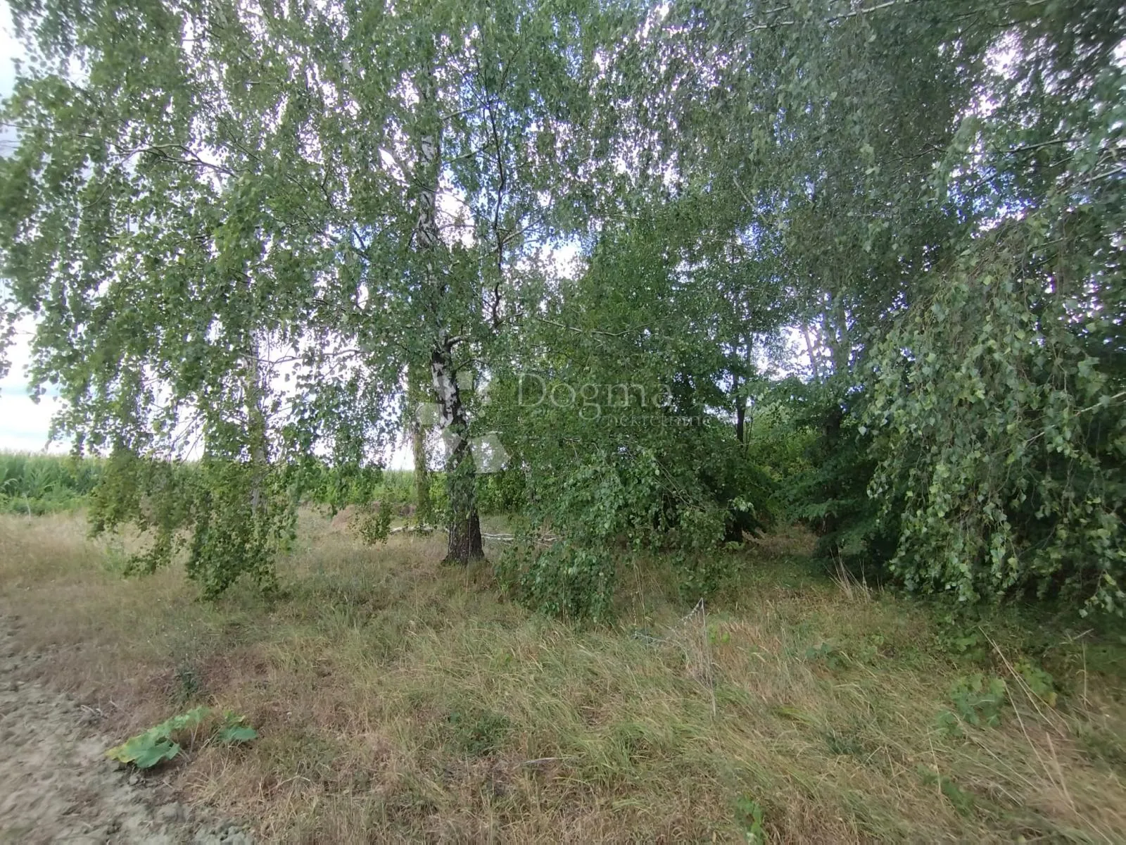atraktivno građevinsko zemljište – prilika! - slika 13