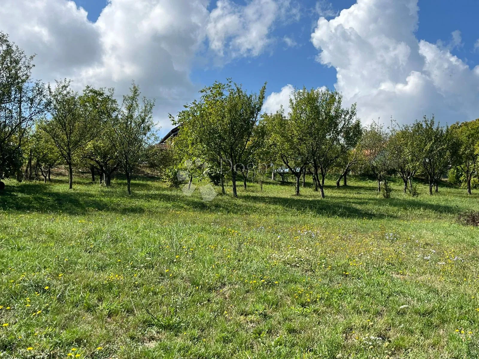 građevinsko zemljište za turistički projekt - mala londžica - slika 4
