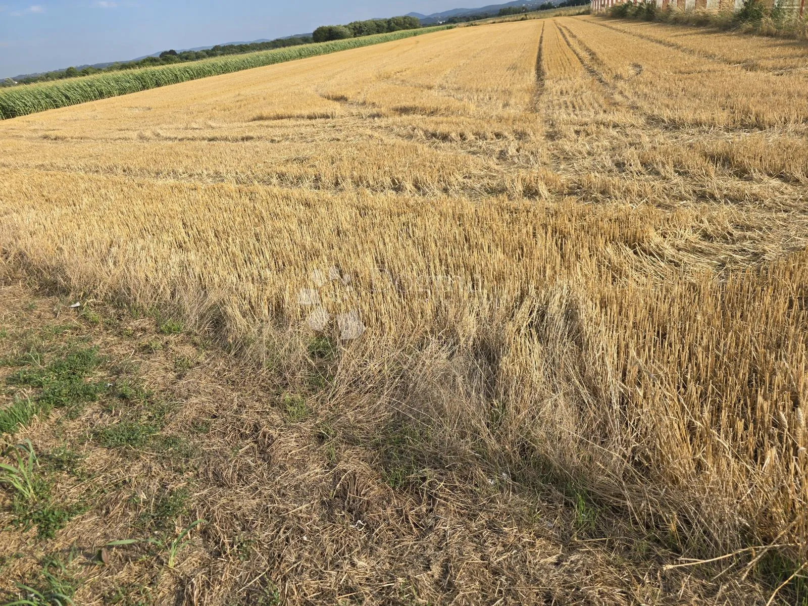 zemljište uz glavnu cestu između varaždina i trnovca – 4310 m² - slika 2