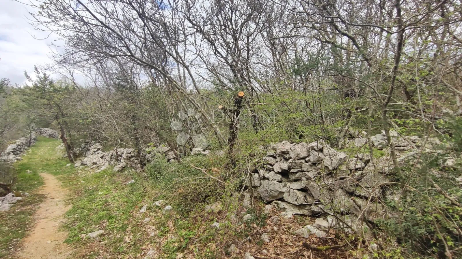 građevinsko zemljište na mirnoj lokaciji - slika 3