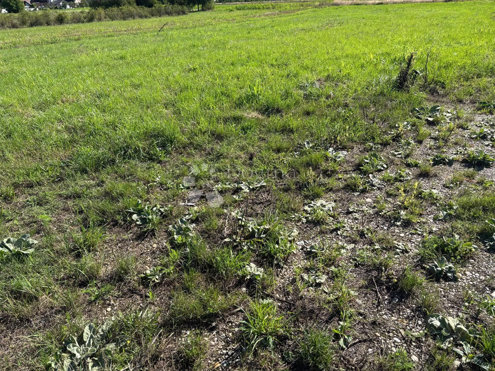 građevinsko zemljište 4619 m² – varaždin, m zona! - slika 3