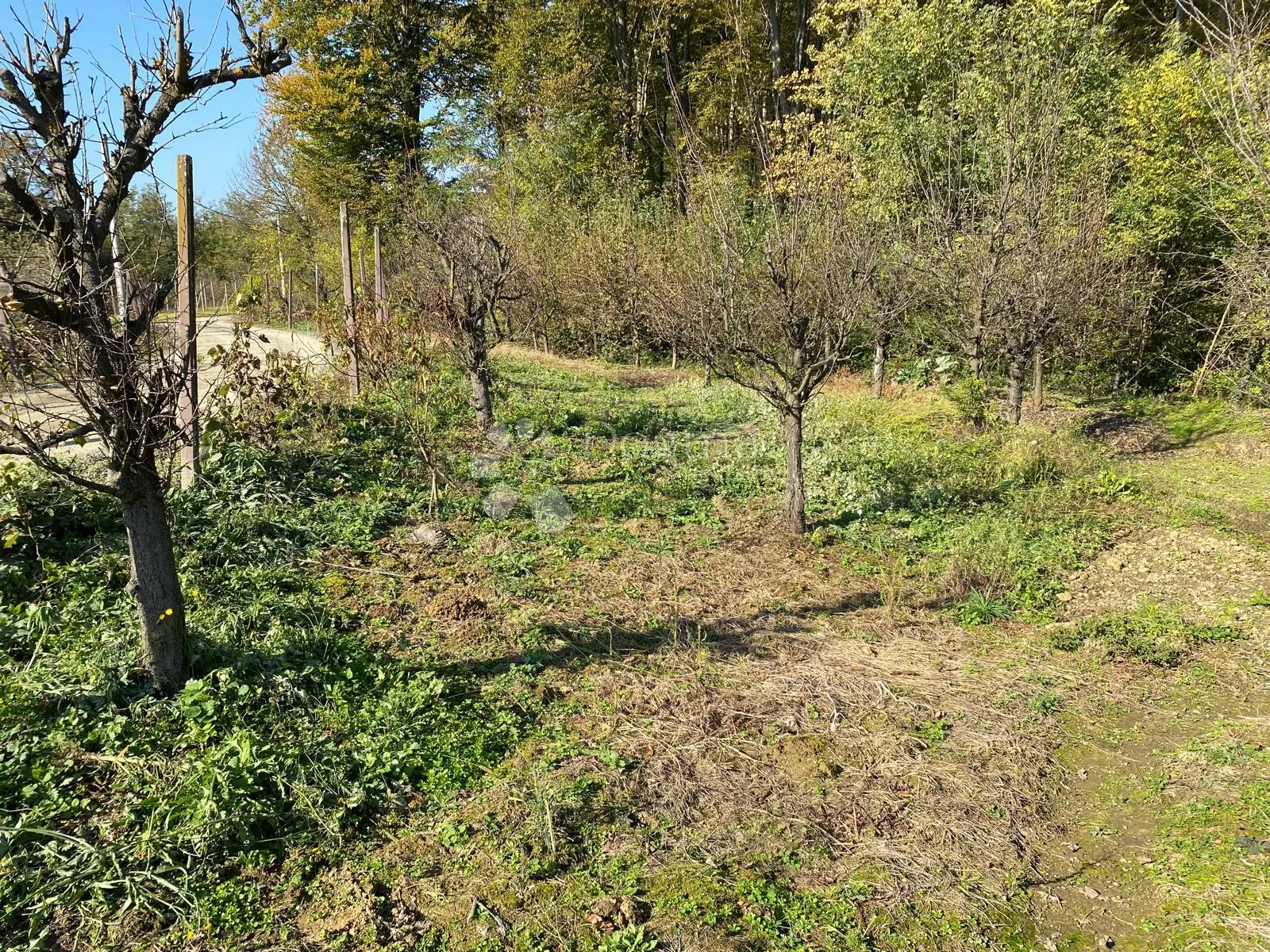 super zemljište za vikendicu - črešnjevo - slika 7