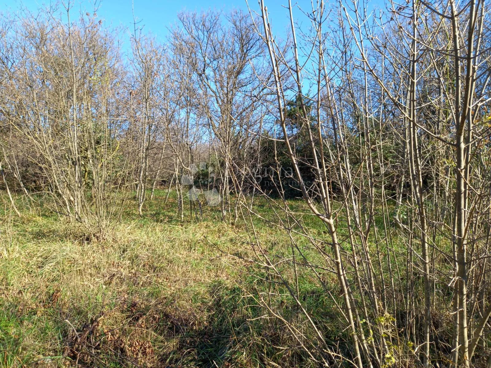 kostrena, teren s pogledom na more - slika 3