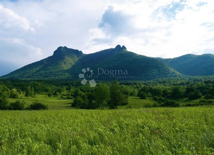 Šuma podno Kleka - Ogulin