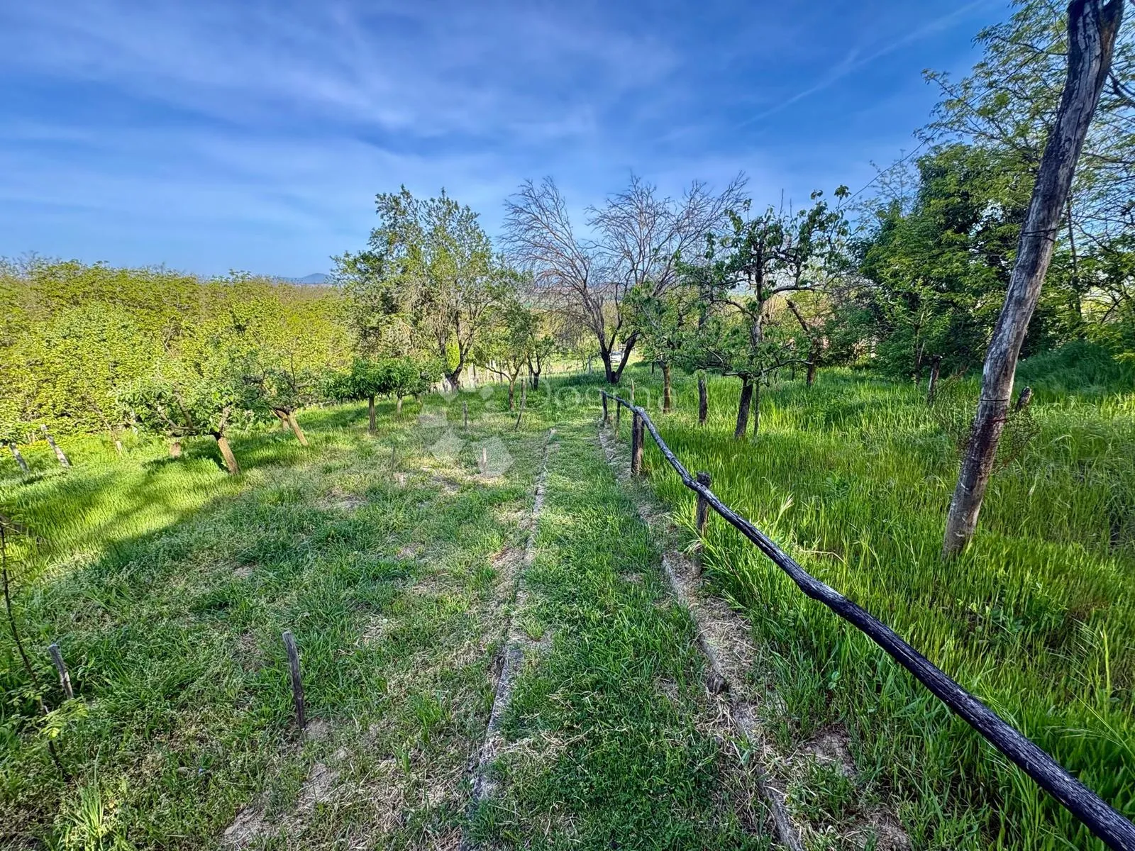 oaza mira i privatnosti – vikendica s vinogradom i 3.797 m² okućnice - slika 32