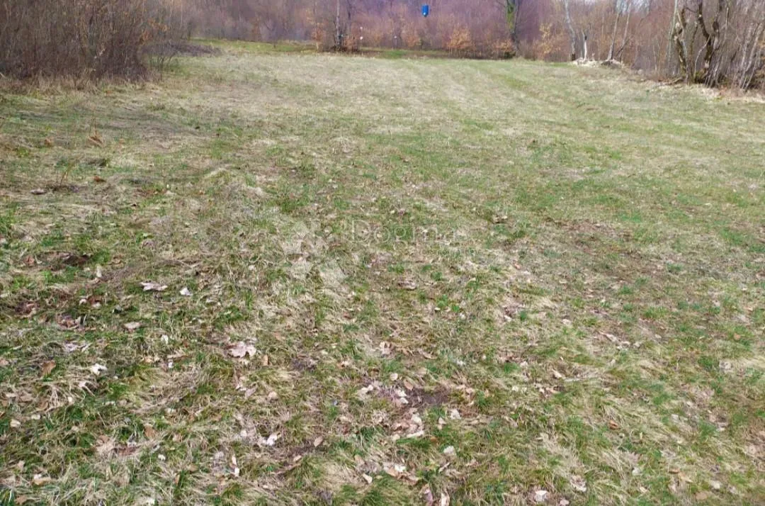 divljina na vašoj strani – idealna lokacija za lov i potpunu privatnost - slika 4