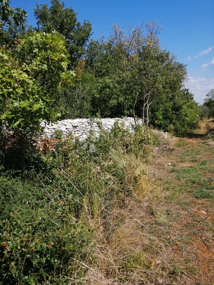 Peroj — poljoprivredna parcela 808 m², izvrsna investicijska prilika - Peroj, Vodnjan