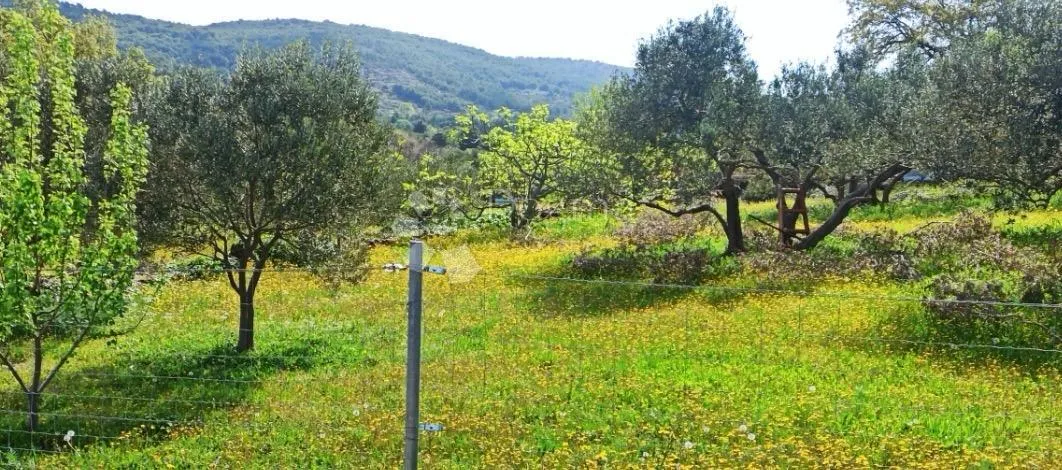 off-grid imanje s mobilnom kućicom - tribunj - slika 12