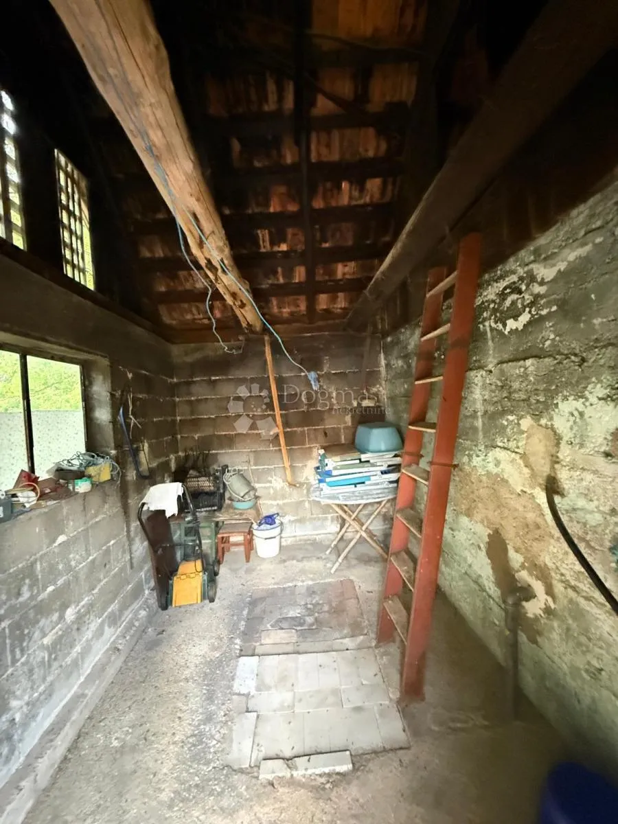 useljivo imanje na osami šuma zelenilo pogled - slika 21