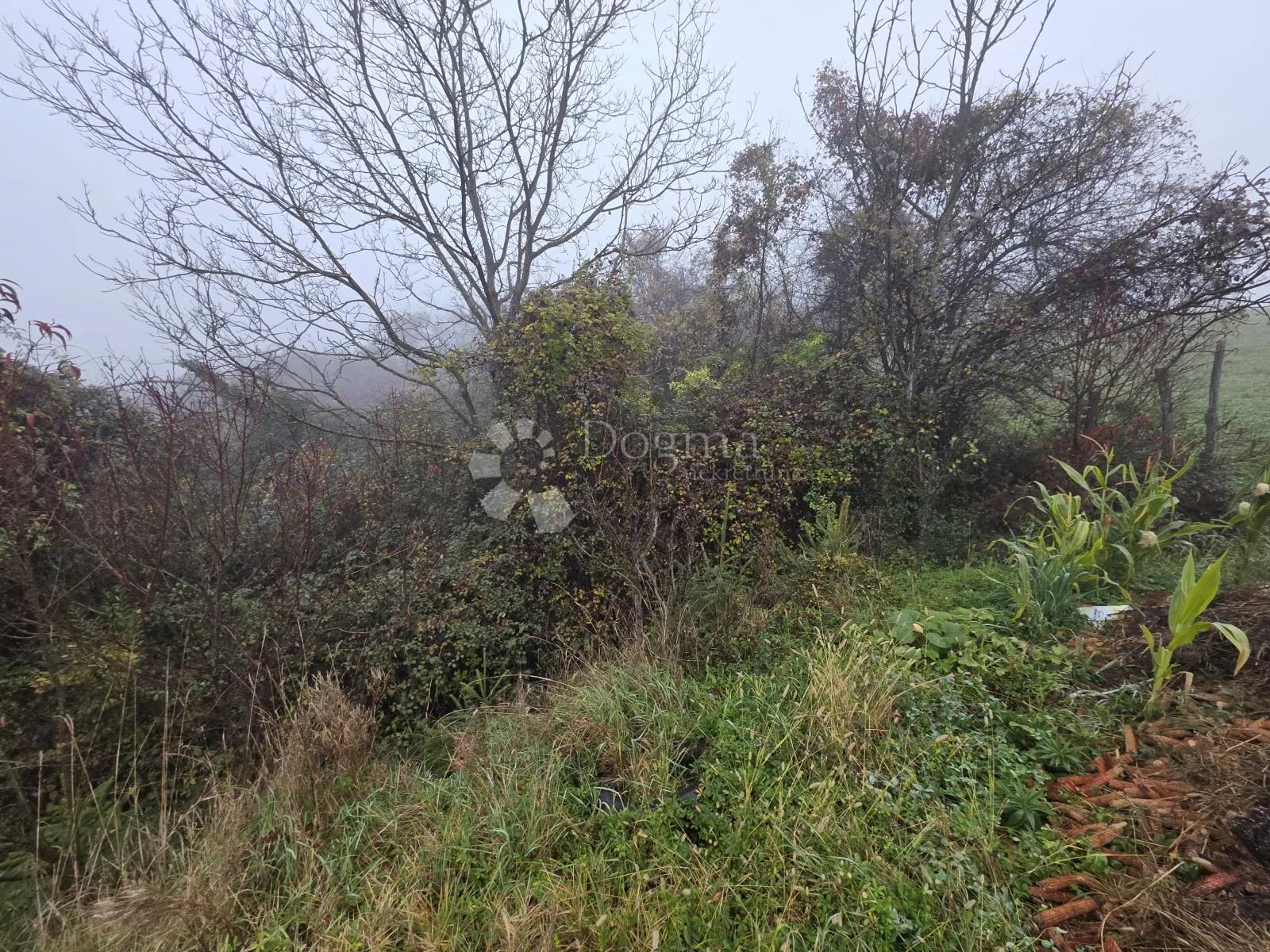 prirodna oaza mira: 435m² zemljišta na brijegu iznad jakovlja - slika 2