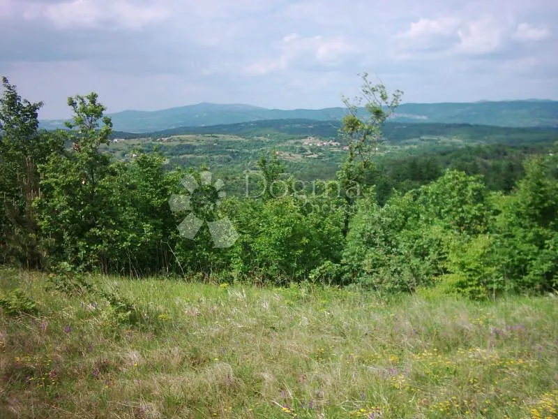 istra, impozantno imanje - slika 4