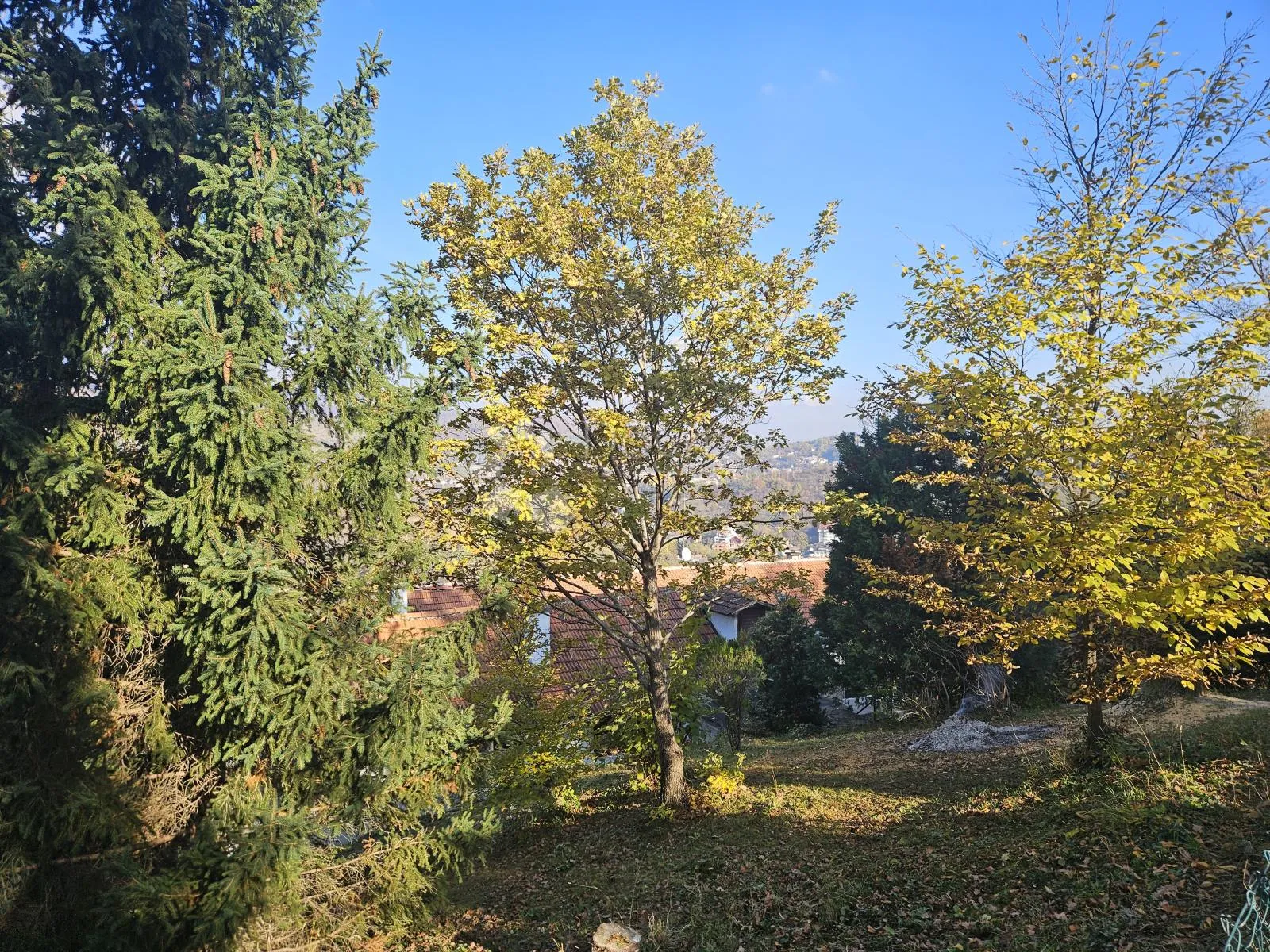 pogled govori više od riječi - slika 28