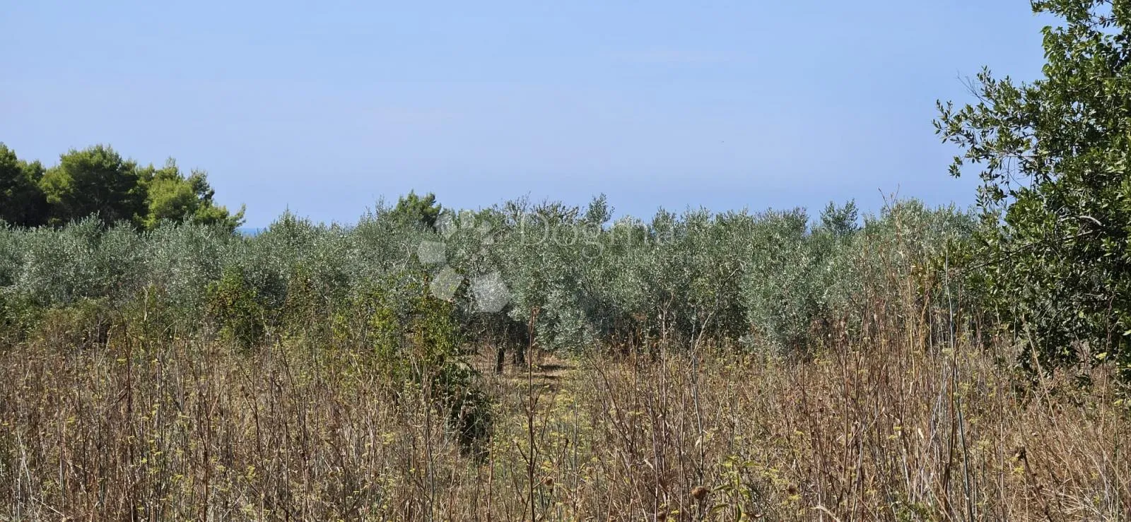 građevinsko zemljište 300m od mora - slika 14