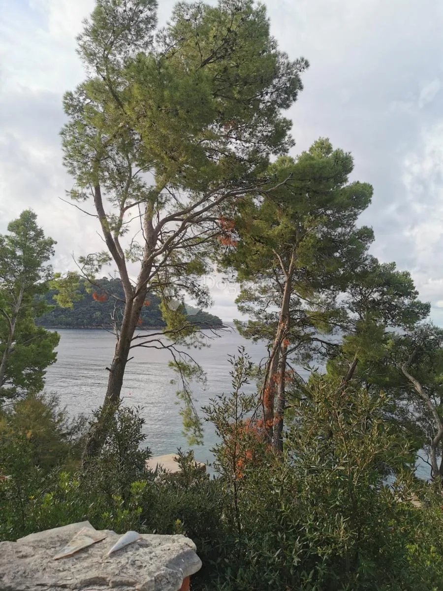 kuća 1.red do mora, uvala na otoku korčuli - slika 29