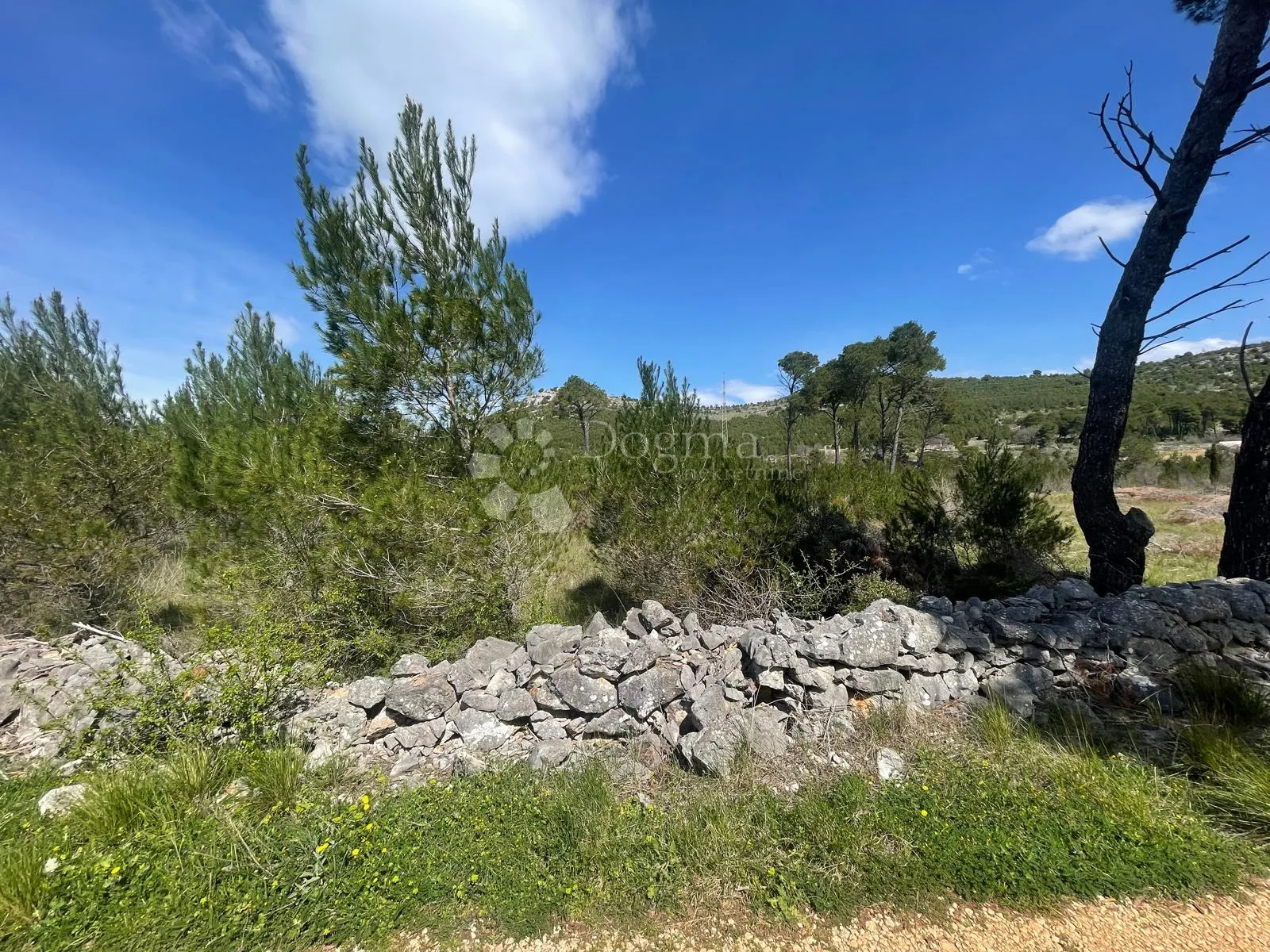 građevinsko zemljište 3.928 m2 dubrava pokraj šibenika - slika 4