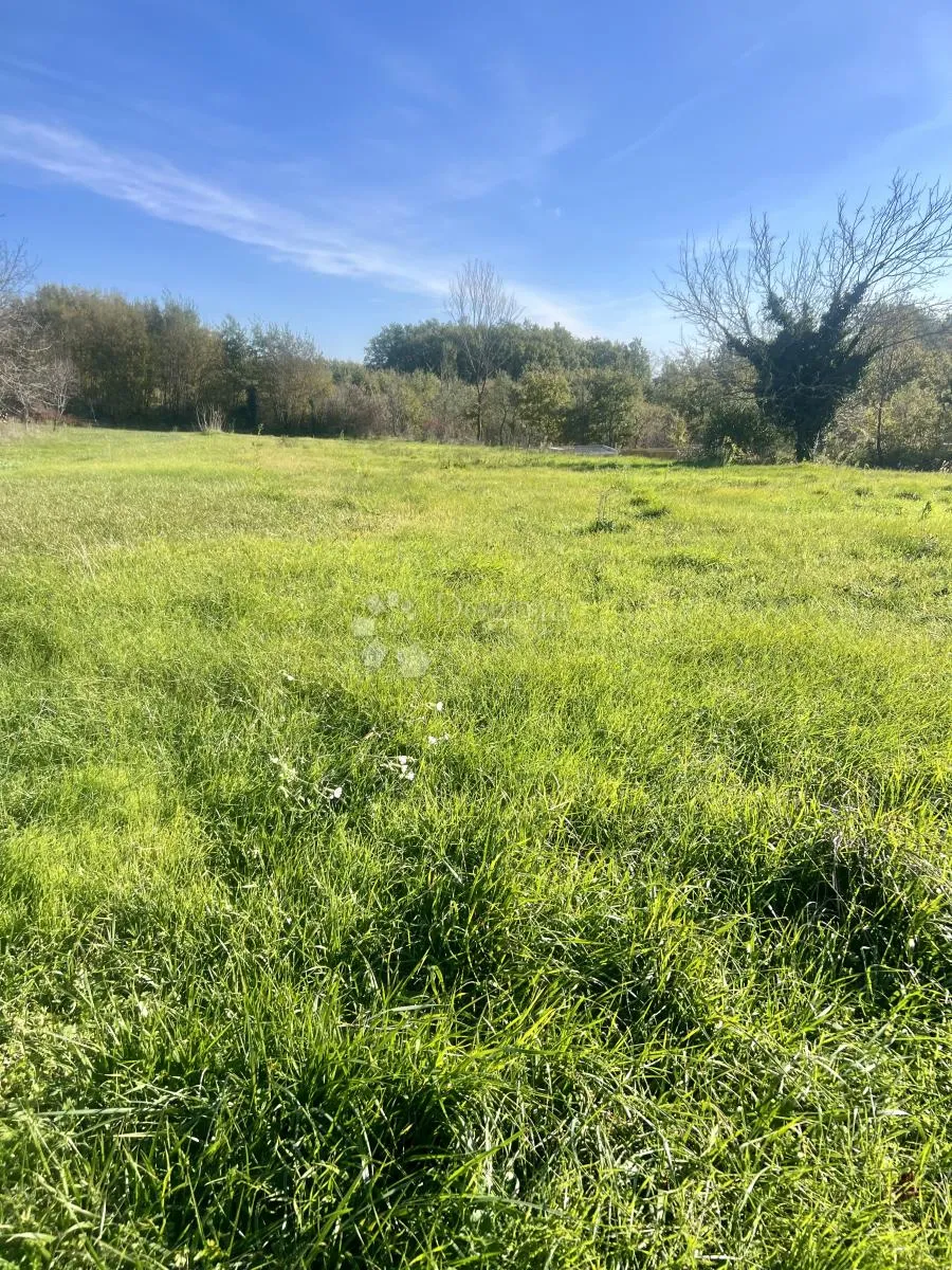 građevinsko zemljište u žminju – 1246 m² - slika 2