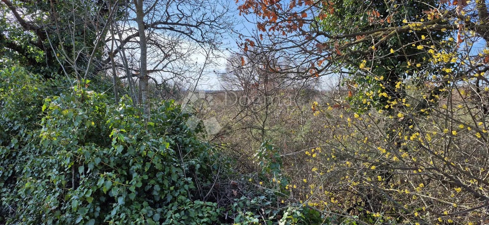 kombinirano građevinsko zemljište 850 m2 i poljoprivredno zemljište 3726 m2 - slika 14