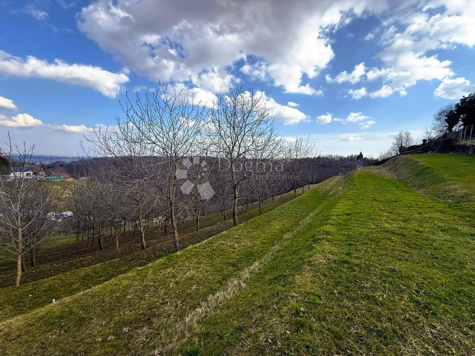 6495 m² prirodne ljepote - 16 terasa, 117 oraha i dva prilaza - slika 1