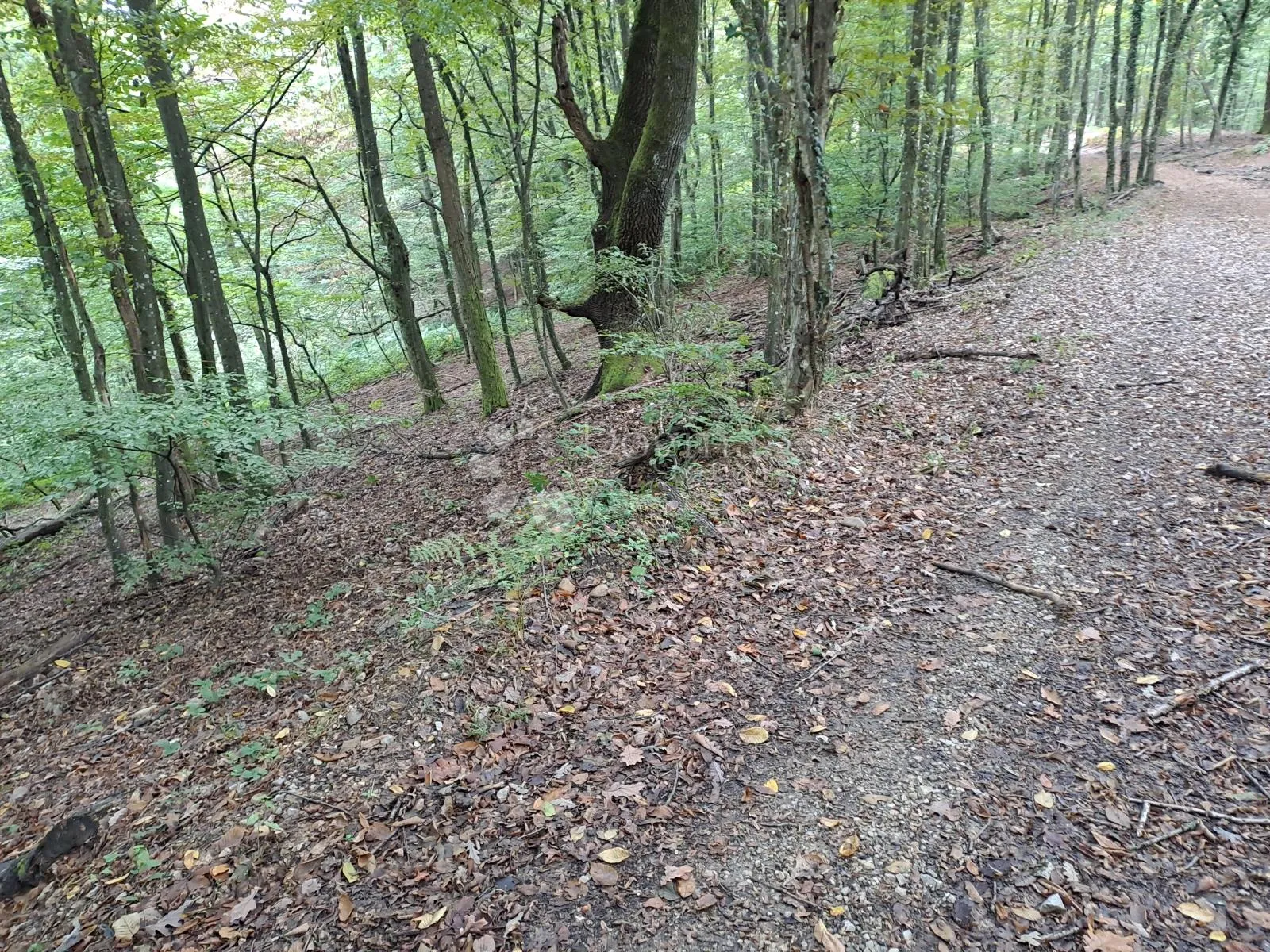 zemljište pješčanica - slika 4