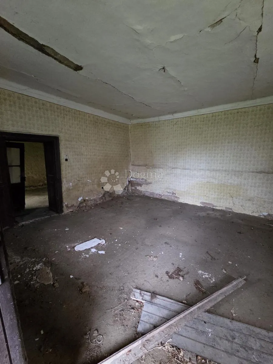 kuća 325 m² + 1 ha zemlje, glavna cesta – b. manastir - slika 8