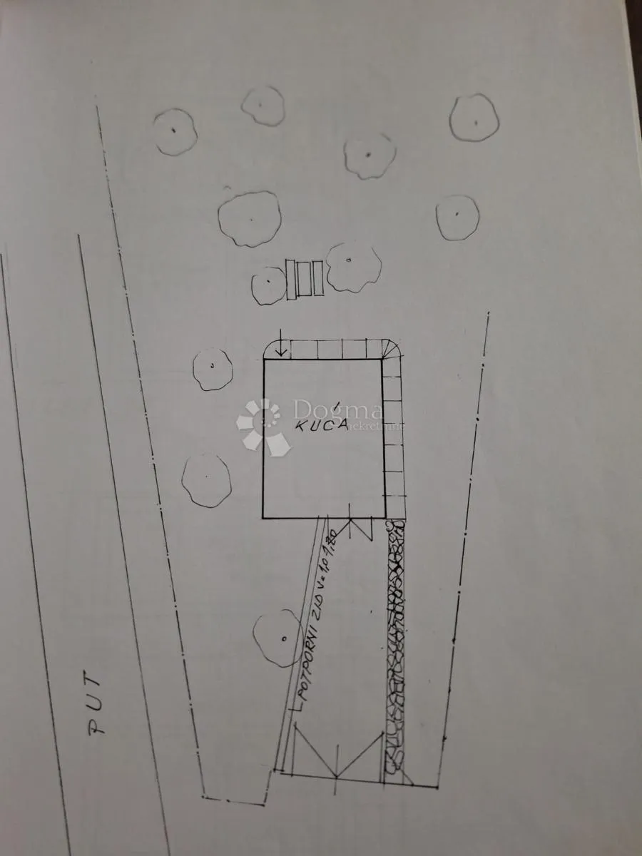 povoljna viksa na vrhu brda - slika 20